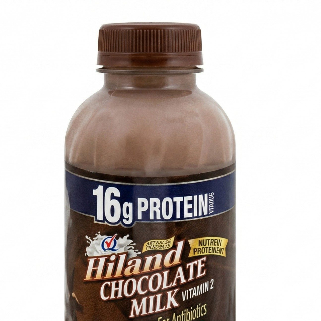 Chocolate Milk.